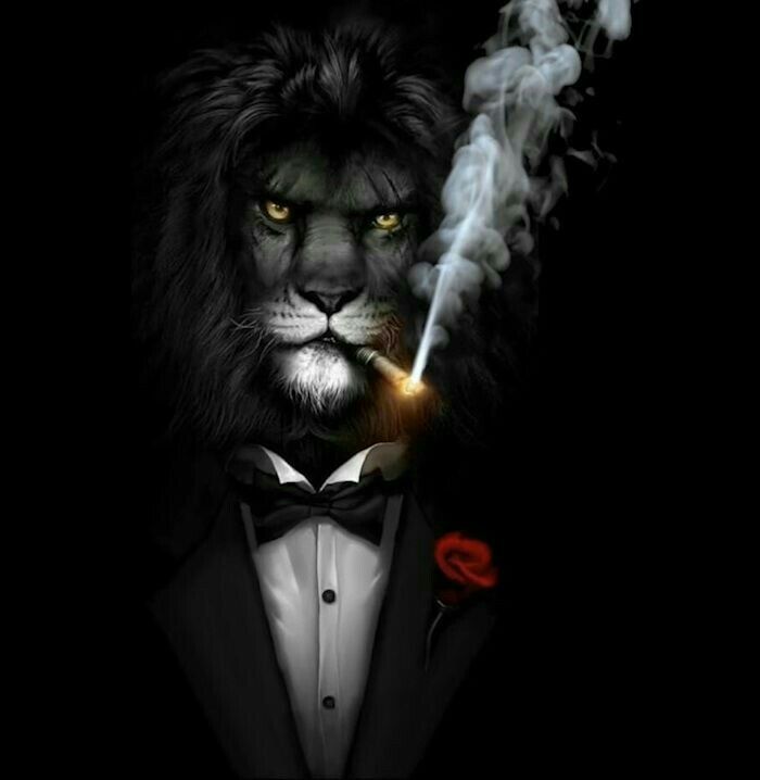Logo King Smok
